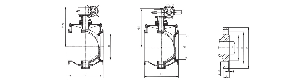 Top Entry Eccentric half ball valve